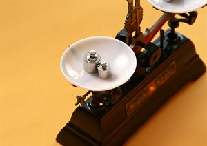 ミニユンボを様々な用途に使用できる