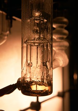 高所作業車のレンタル選びのポイントとおすすめサービスガイド